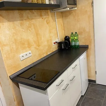 Wohnen Direkt An Der Rheinpromenade Mit Whirlpool Und Sauna *