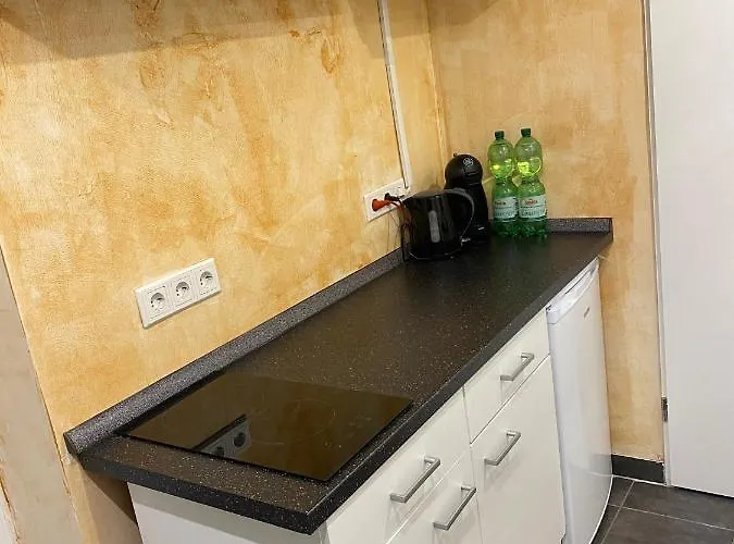 Wohnen Direkt An Der Rheinpromenade Mit Whirlpool Und Sauna *